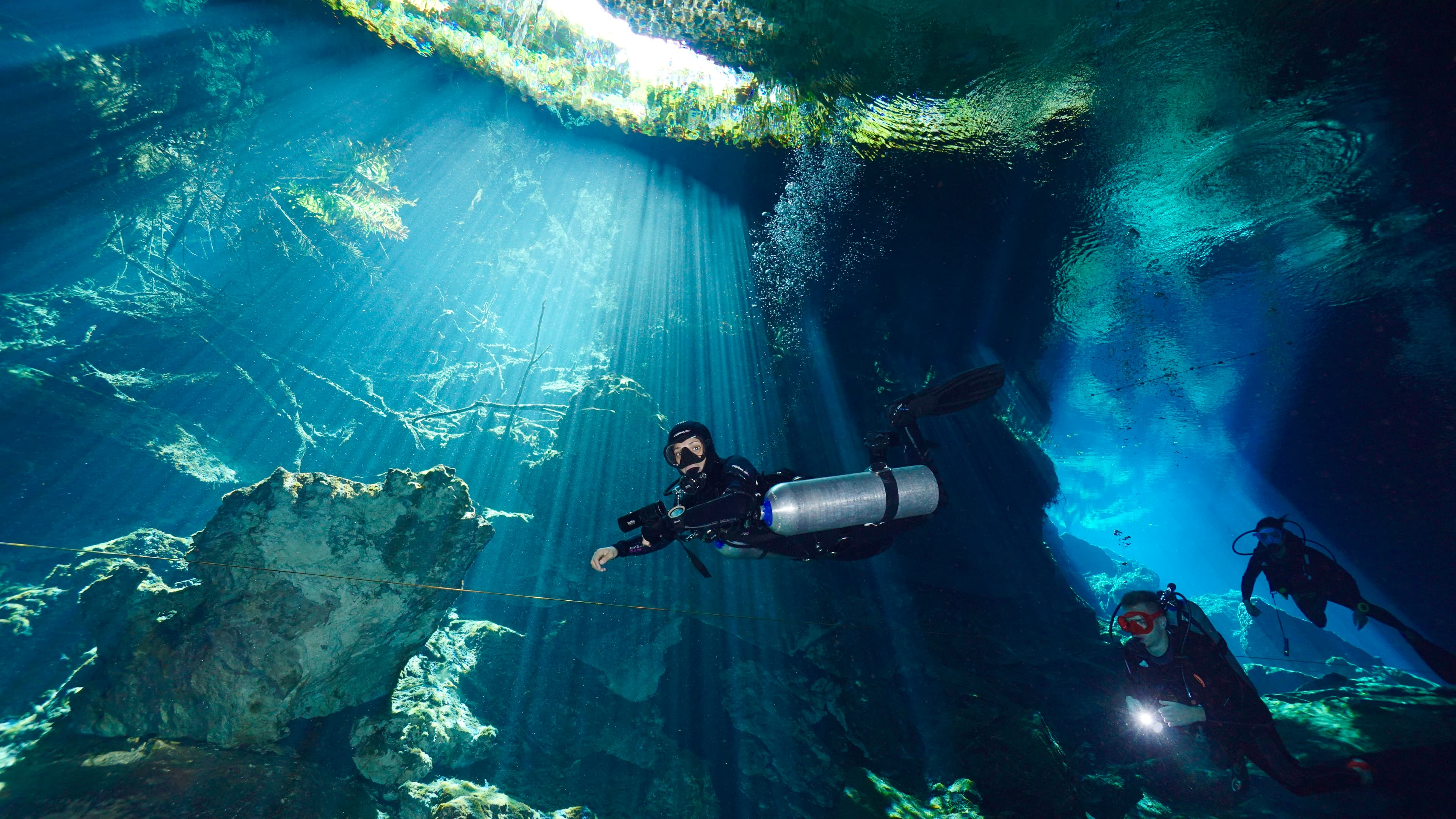Cenotes - Playa del Carmen