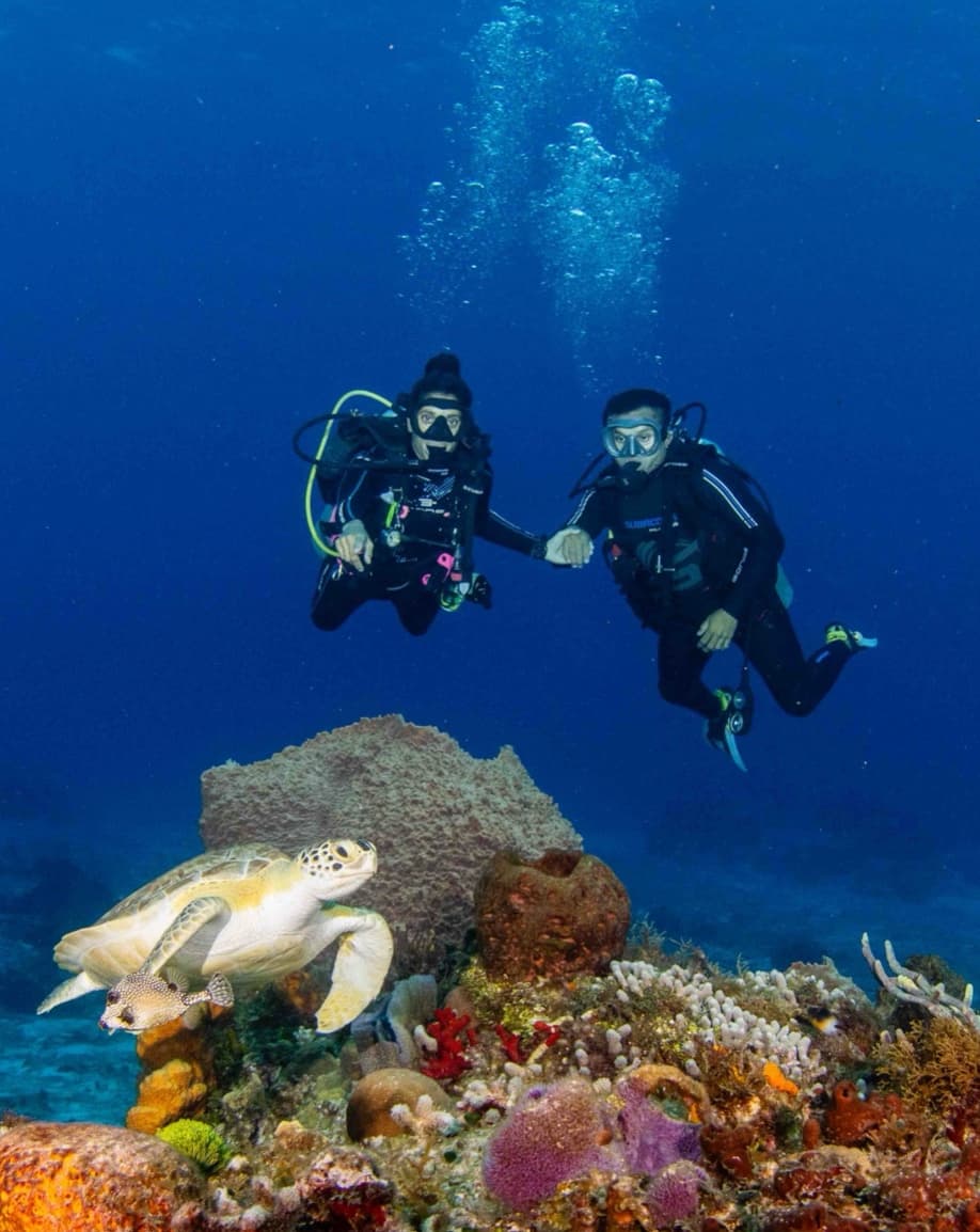 3-Day PADI Course with boat diving