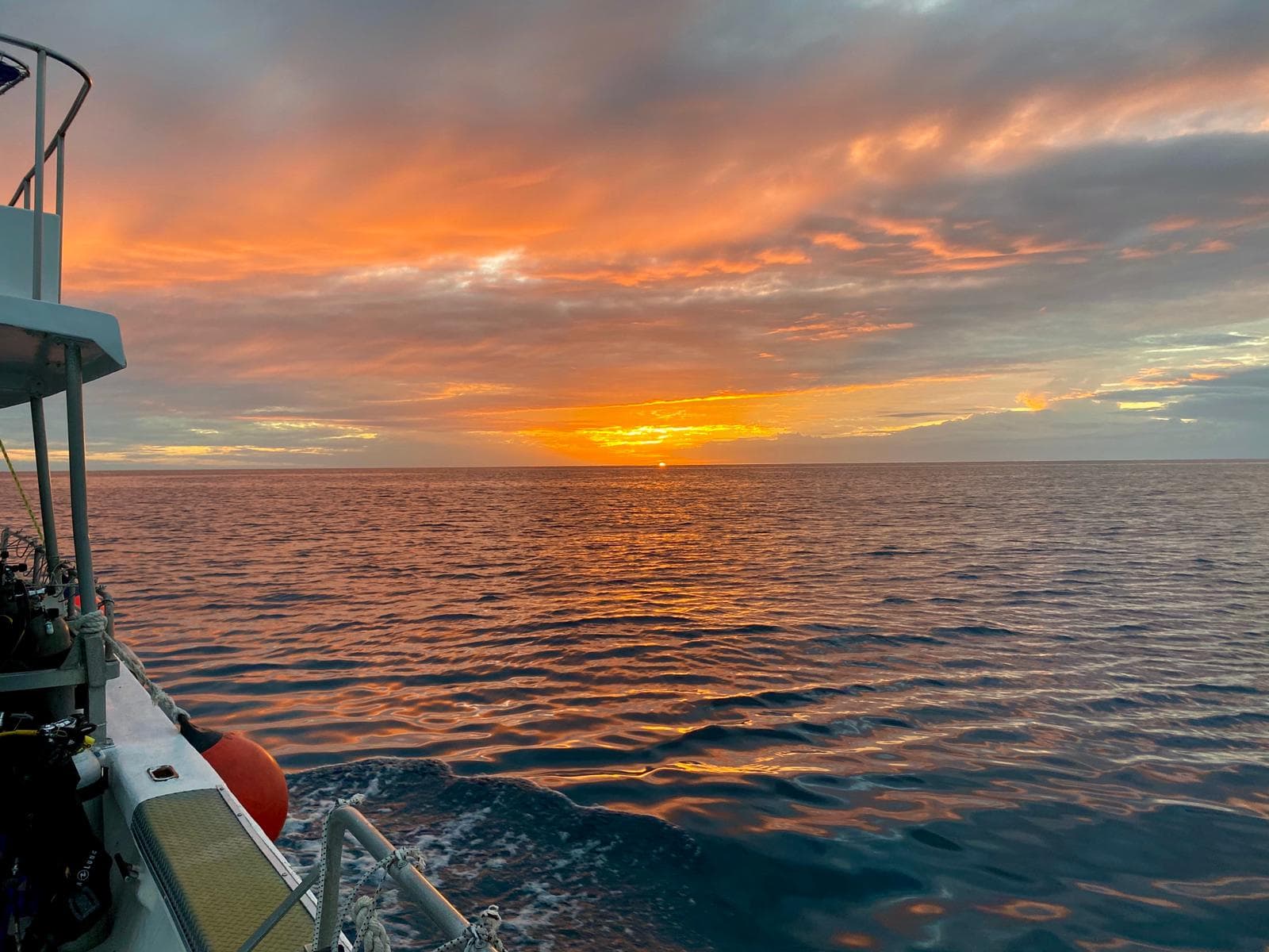 Twilight + Night Dive from Boat